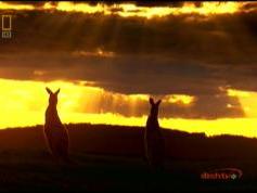 NSS 6 at 95.0 e-Indian footprint-packet Dish TV-12 647 V National Geographic Channel HD Asia-18