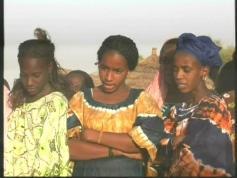 feed AL Jazeera Ethiopia 2.4M JSC ZEBRA 02