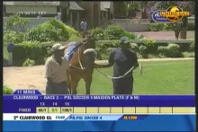 Intelsat 907 at 27.5 w _ NE Zone footprint _ 3 851 L feed DVB S2 Unire Snai Sat  _05